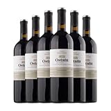Ostatu Rioja Crianza Botella Medium 50 cl Vino tinto (Caja de 6 Botella Medium de 50 cl)