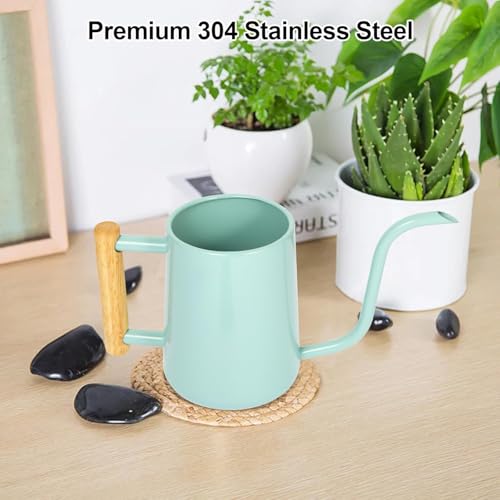 Image of Watering Can Indoor Plants, 35 oz /1000 ml Metal Stainless Steel Watering Can Pot with Long Spout for Indoor House Plants Bonsai Outdoor Garden Flower Decorative (Green