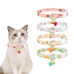 4PCS Breakaway Cat Collars with Bells Flower & Fruit Kitten Collar Adjustable Buckle with Cute Pendants for Girls and Boys Pet 8-12inch