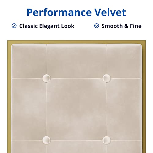 Cozy Castle Velvet Bar Stool, Square Tufted Counter Stool, 24 Inch Island Chairs For Kitchen Counter, Gold Frame Barstool Set Of 2, Beige #TOP4