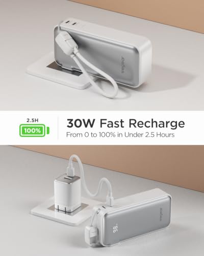 wegear 10,000mAh 30W 3-in-1 Power Bank w/ Built-In Wall Plug & USB-C Lanyard (Silver) - image 3