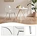 CangLong Clear Dining Chairs Set of 4, Modern Kitchen Acrylic Chairs with Transparent Seat, Plastic Accent Side Chair with Metal Legs, for Kitchen, Dining & Living Room, Transparent + Silver