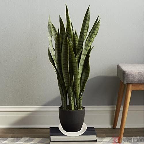 Tim Tim Agro Plant Saucer 10 Inch, 6 Pack of 10 inch Plant Saucer Round, Plastic Flower Plant Trays for Pots, Plant Saucers for Indoors 9", Plant Pot Saucers (White) - Image 4 thumbnail