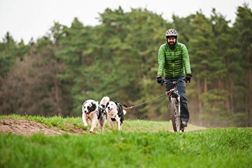 Northern Howl X-Back Zuggeschirr Fuer Bike-, Skijoring Dogscooting Canicross Schlitten in Blau (S)