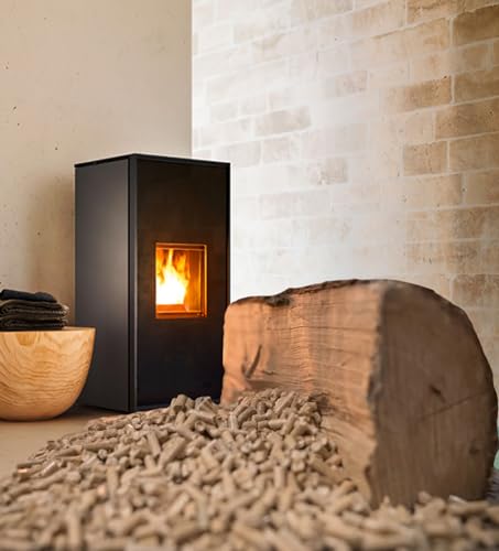 APG4 - Aspiradora vacía Ceniza 4 L, 600 W Special Poele A Gránulos - imagen 4