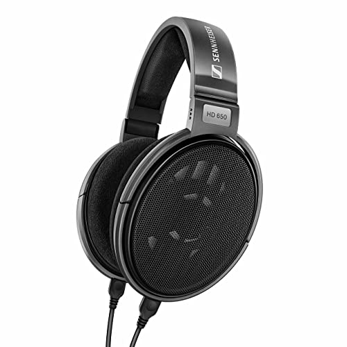 Sennheiser Consumer Audio HD 650 – Audiophile Hi-Res Open Back Dynamic Headphone, Titan