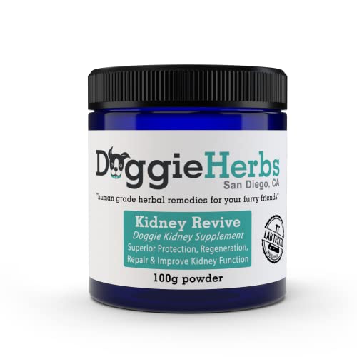 Top 10 Best Dog Foods to Manage Kidney Disease Your Ultimate Buying