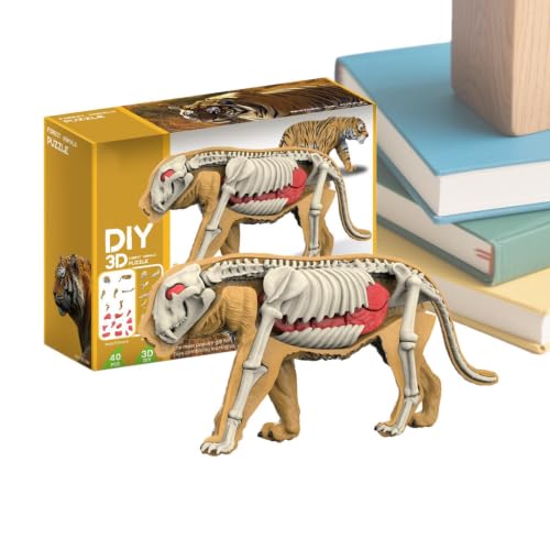 Rompecabezas 3D de esqueleto de tiburón para regalar a niñas 7