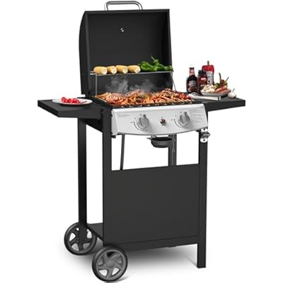 Propane Gas Grill 21000 BTU with 2-Burner,325 sq.in. Outdoor BBQ Grill for Barbecue Cooking with Top Cover Lid,Wheels,Side Storage Shelves,Barbeque Stove for Patio Garden Camping,Black