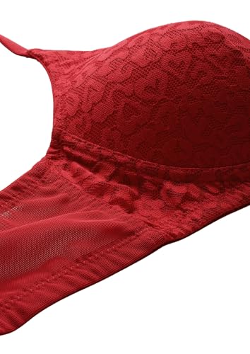 Image of Padded Non-Wired Medium Coverage T-Shirt Bra - Adjustable, Wire-Free, 92% Nylon /8% Spandex, Breathable Comfort - Sizes - (32 /34 /36 /38)