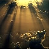 Hope Never Dies