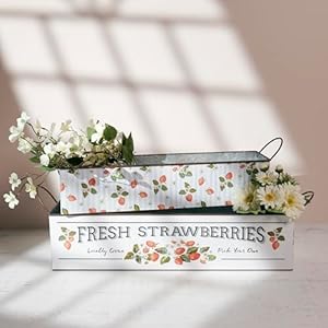 Primitives by kathy fresh strawberries bin set  urban country home decor