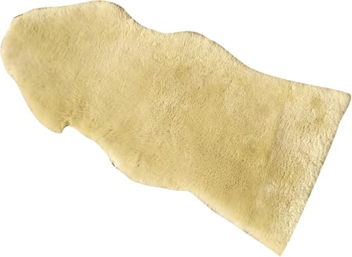 [gO I[XgAY  [g VRE[ V[vXL \t@Jo[ _炩ё O rO[p (x[W, 60x110cm)