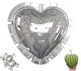 FRUITMOULD Heart shaped Watermelon Growing Mold clear color plastic mold