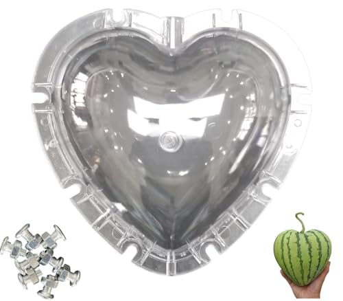 FRUITMOULD Heart shaped Watermelon Growing Mold clear color plastic mold
