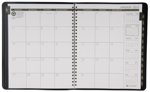 At-A-Glance Recycled Monthly Planner, 6 X 9 Inches, Black, 2013 (70-120G-05) #TOP4