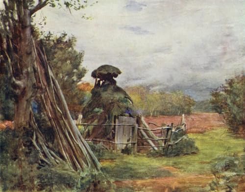Affiche murale New Forest par Walter Tyndale - Tableau art bureau 60x90cm