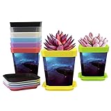 Excelente drenaje y bandeja: estas macetas para plantas vienen con múltiples agujeros de drenaje en la parte inferior para permitir que el exceso de agua fluya fácilmente para ayudar a prolongar la vida útil de tus plantas, y los platillos se proporcionan para atrapar el exceso de agua. Tamaño: 7 x 8 x 5 cm