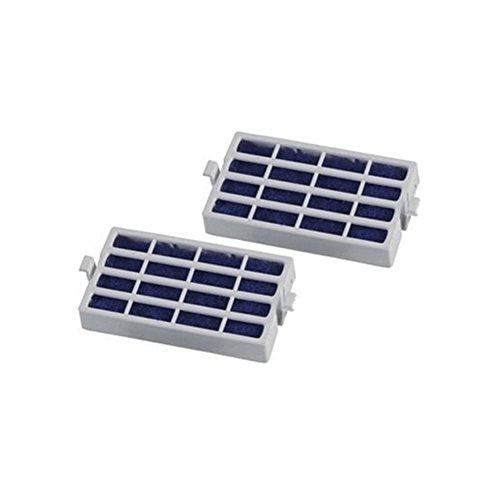 Europart Filtre à air antibactérien Microban, Lot de 2