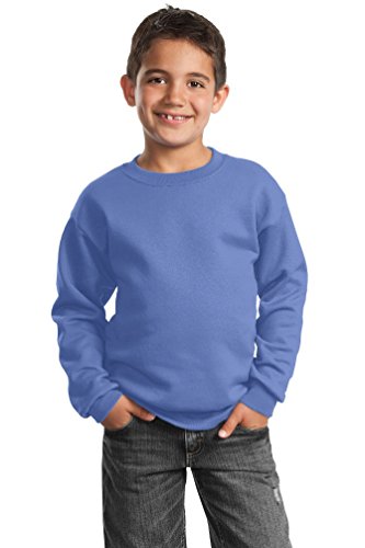 Port & Company Youth Perfect Crewneck Waistband Sweatshirt_Carolina Blue_L