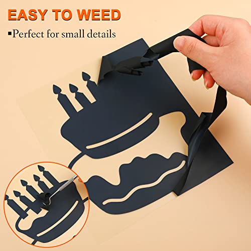 Caregy Iron On Vinyl Heat Transfer Vinyl Roll Htv (12''X9',Black) #TOP3