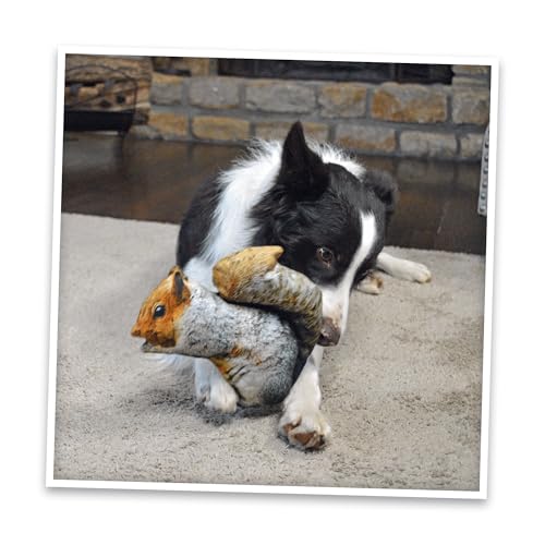 Image of Doggijuana Squirrel & Juananip Bundle | Squeaky Refillable Plush Toy | Refillable squeaky plush dog toy + organic calming catnip; eases anxiety, stress & storms; drug-free, hand-harvested