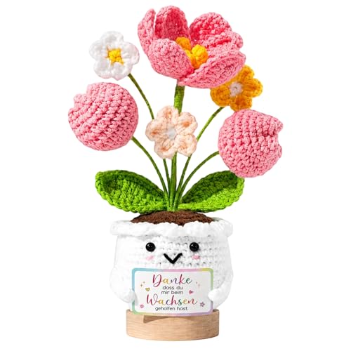 BrKern Danke DASS Du Mir Beim Wachsen Geholfen Hast Kleines Dankeschön Geschenk Erzieherin Geschenk Mit DREI Tulpen Dekoration Für Büro Und Zuhause