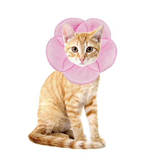 AnnaEye Pet Recovery Pet Cone E-Collar for Cats and Small Dogs - Comfortabe Flower Pattern Elizabethan Collar Pink S