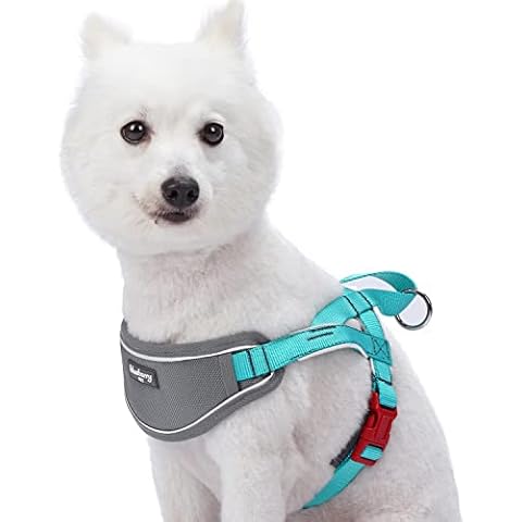 Blueberry Pet 8 Colors Soft & Comfy 3M Reflective Strips Padded Dog Harness Vest, Chest Girth 20.5" - 26", Lake Blue, Medium, Nylon Adjustable Training Harnesses for Dogs Cover