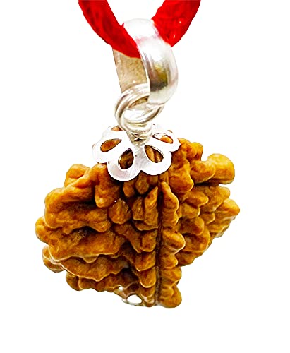 Image of Siddha 2 /Two Mukhi Rudraksha, Laboratory Certified, Capped with Silver Between Indian Beads with Handmade Tassel, Size 22mm-28mm, Color-Brown (2 Mukhi Silver Rudraksha)