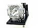 Toshiba Service Replacement Lamp for TDP-WX5400U
