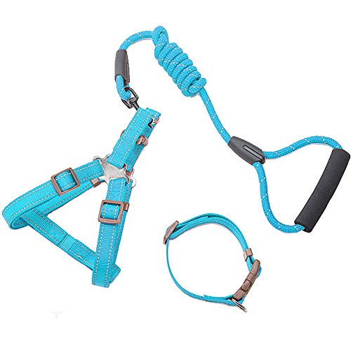 XITAI Rope Dog Lead - Sterke Lijn met comfortabele gevoerde handgrepen Touwlengte 15CM Geschikt voor een gewicht van 15-40 KG - Reflectief, weerbestendig & blauw