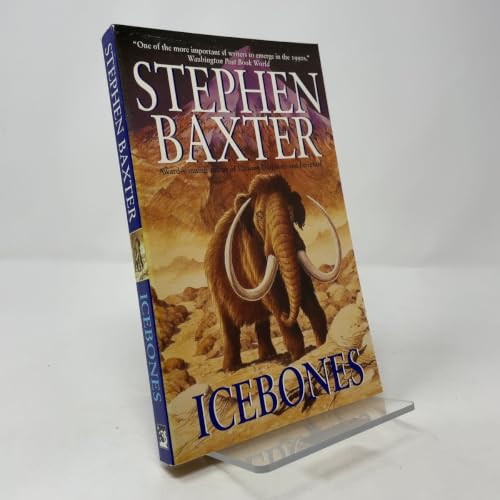 Icebones view 2