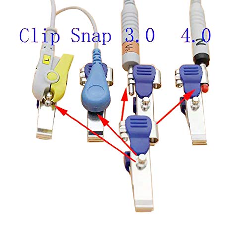 Électrode vétérinaire multifonction pour simplifier vos examens ECG et EKG