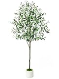 6ft Olive Trees Artificial Indoor with Pot, Faux Fake Olive Tree with Realistic Wood Trunk and Lifelike Fruits, Large Faux Plant for Home Living Room Entryway Office Decor