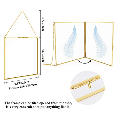 Tlbtek 8X8 Inch Brass Hanging Photo Frame,Double Glass Frame For Pressed Flowers,Clear Diy Vintage Artwork Display Frame Wall Mounted Photos Frame #TOP1