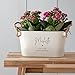 Personalized Retirement Planter Box - Unique Coworker Leaving Gifts for Men Women - Engraved Flower Plant Pot (Medium)