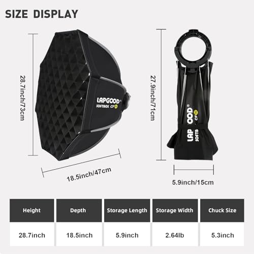 image for Godox MS300V 300W Studio Strobe Light Kit,2.4G Bowens Mount Photograph