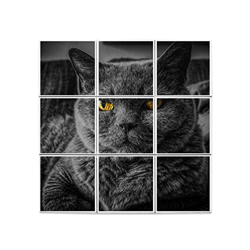 Carreaux Céramique Chat mignon pour créer une atmosphère cocooning et relaxante chez soi