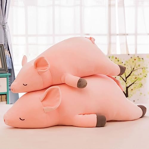  ʂ 킢   ʂ  ܂ Ԃ ʂ 60cm ܂ ʂ   ʂ u^  NbV 蕨 Xu  av[g  sN