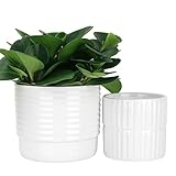 Pragmática jardinera - Un agujero de drenaje en la parte inferior facilita la preocupación por el exceso de agua. Su preciosa vegetación disfrutará respirando y prosperando en nuestras macetas. Plantas NO incluidas