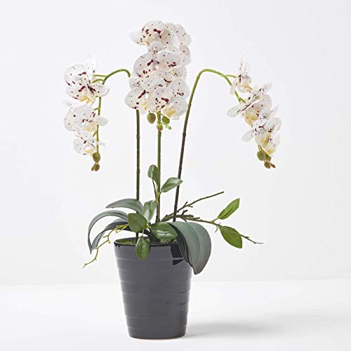HOMESCAPES Artificial White Orchid in Pot 56 cm Tall Lifelike Faux Orchid Plant In Black Ceramic Pot with Real Touch Silk Flowers and Green Leaves Phalaenopsis Orchid Flower for Indoor Decoration