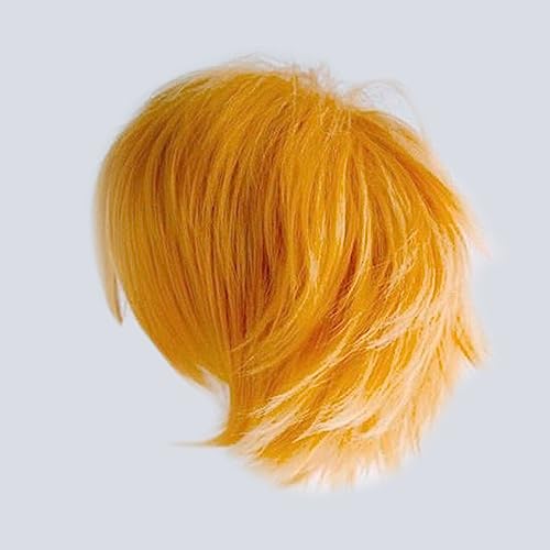 Gairyan Unisex Anime Cosplay Wigs - Orange Straight Fluffy Wigs for Women/Men - Costume Theme Party & Halloween - Image 3