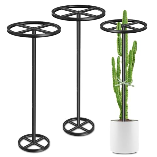 ODSNANIE Metal Dragon Fruit Trellis, Adjustable Durable Dragon Fruit Plant