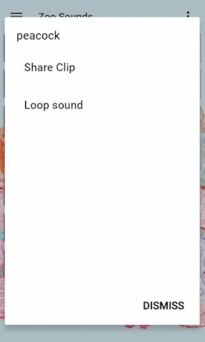 Zoo Sounds