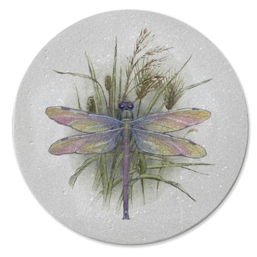 Thirstystone Dragonfly Natural Sandstone Coaster 4 Pack Eco-Friendly, Absorbent, Easily Wipes Clean