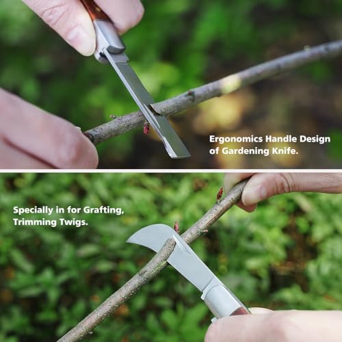 FUJIWARA 3-in-1 Garden Grafting Tool, Pruning Scissors Kit, U/V/Omega-Graft Seedling for Fruit Tree Grafting Set,Including 2X Tapes, Plant Tags,Plant Clips,Grafting Knife & Replacement Blades by FUJIWARA - Image 4
