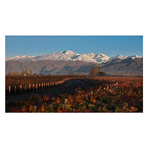 El Mendocino Malbec Rosé 750ml