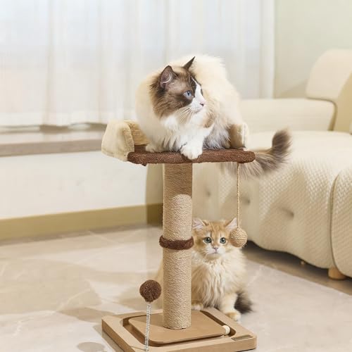 Suudroeen 2 in 1 Cat Scratching Post for Indoor Cats, Sisal Cat Scratcher with Plush Perch, Scratch Post with Bed for Kittens, More Suitable for Smaller-Sized Cats