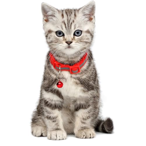 HJZHII 24 Stück Metall Jingle Bells, Hunde- und Katzenhalsband Glocke mit Schnallen Lauter Anhänger Haustierzubehör Verlieren Sie nicht Training Charms für Haustiere(Multicolor)